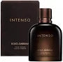 Dolce And Gabbana Intenso Eau De Parfum Spray 6.7 Oz For Men